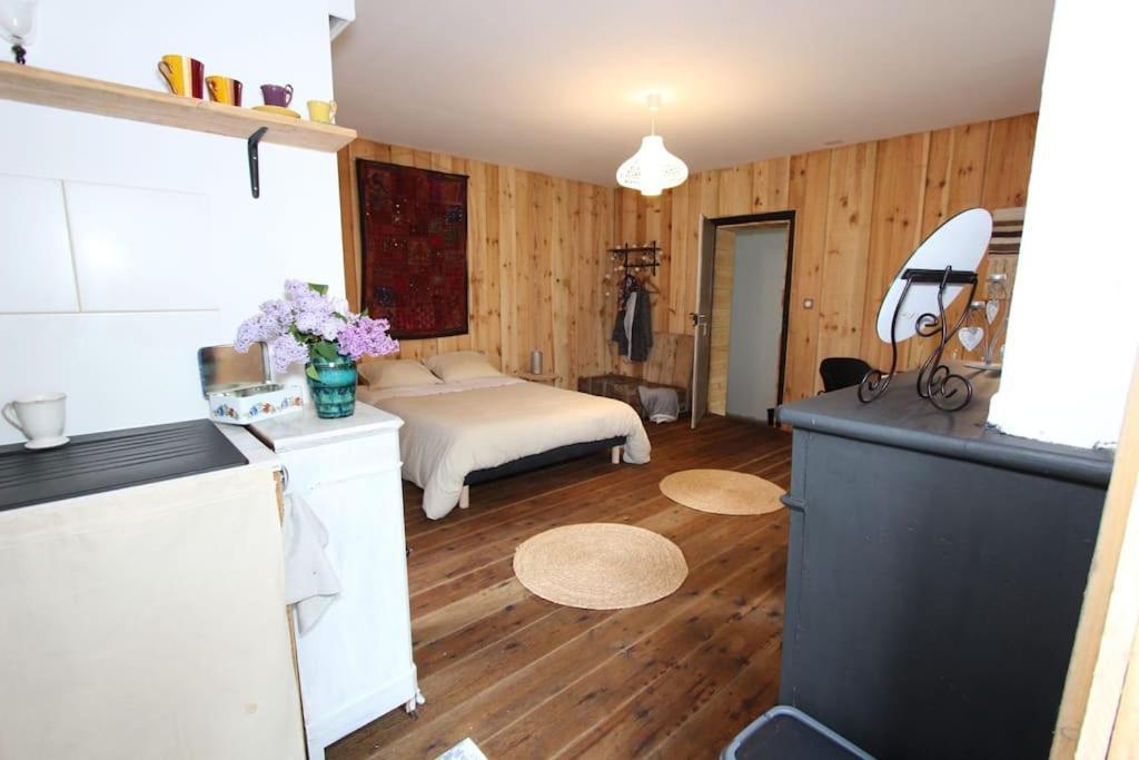 Appartement Charmant Studio Avec Jardin A La Campagne Sur Le Chemin De Saint Jacques De Compostelle à Lauzerte Extérieur photo