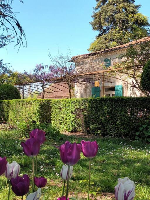 Appartement Charmant Studio Avec Jardin A La Campagne Sur Le Chemin De Saint Jacques De Compostelle à Lauzerte Extérieur photo